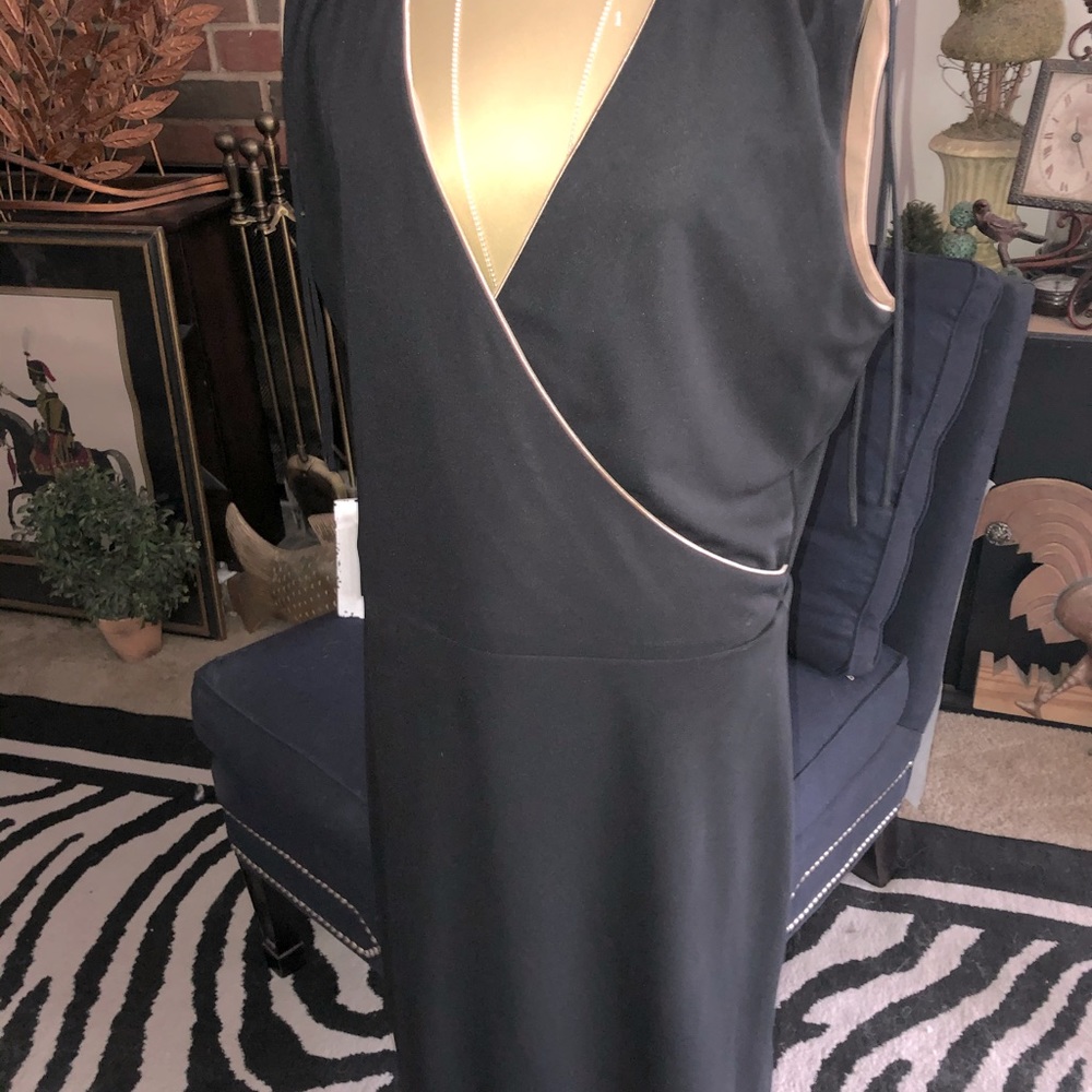 Express sheath dress